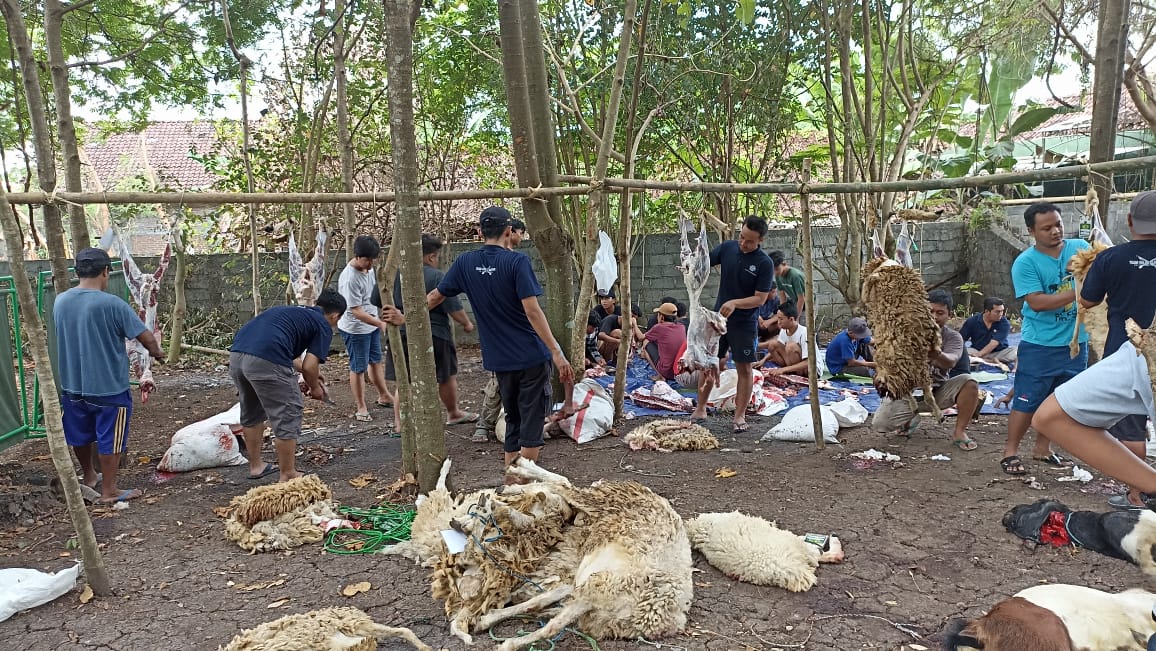 Penerimaan Qurban Iedul Adha